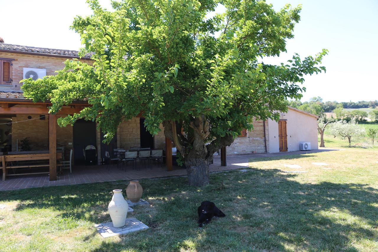 Casale Talevi Vila Cartoceto Exterior foto